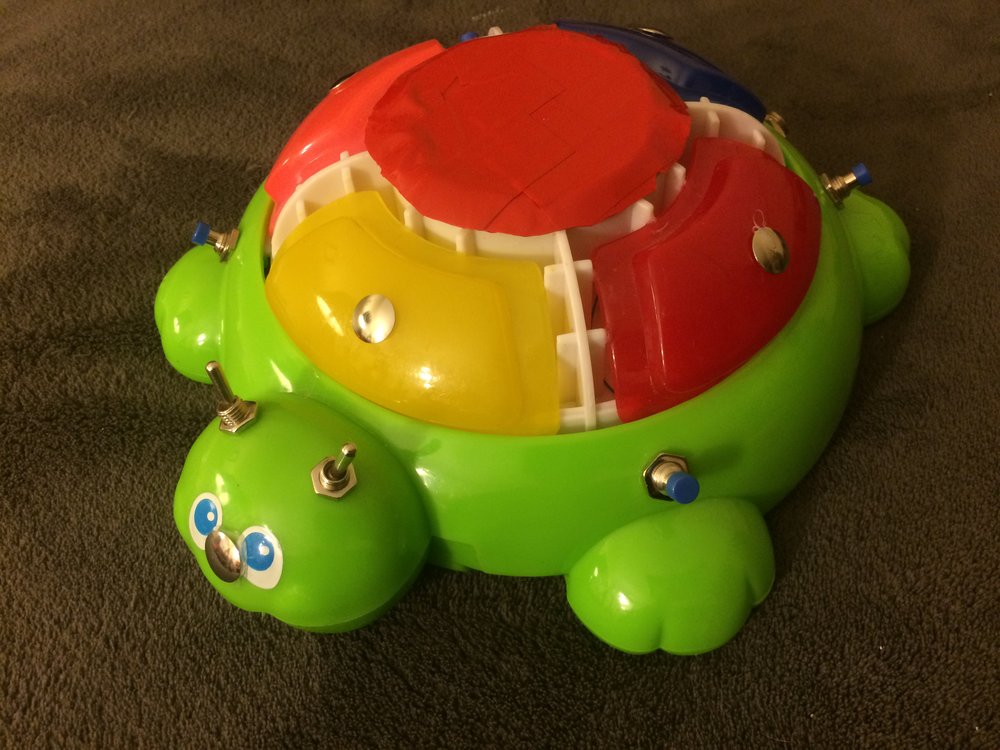 Turtle